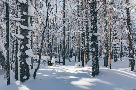 冬季天森林雪景树挂东北老里克湖