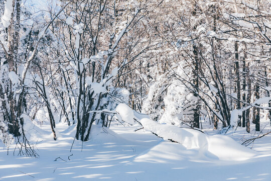 冬季天森林雪景树挂东北老里克湖