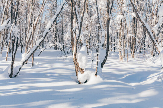 冬季天森林雪景树挂东北老里克湖