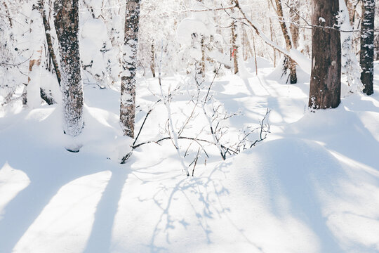 冬季天森林雪景树挂东北老里克湖