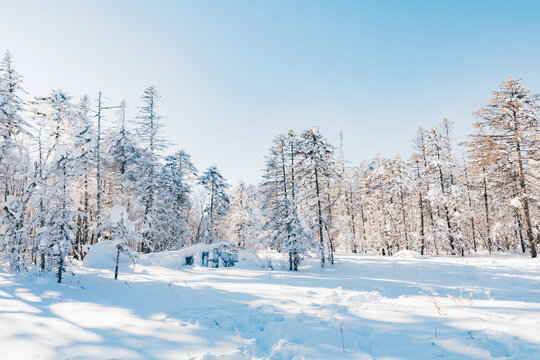 冬季天森林雪景树挂东北老里克湖