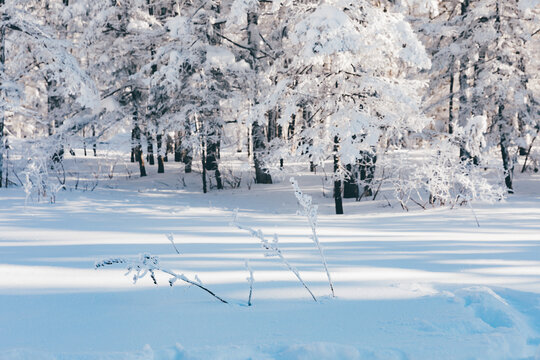 冬季天森林雪景树挂东北老里克湖