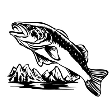 魚類黑白