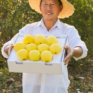 黄元帅苹果