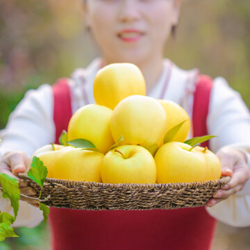 黄元帅苹果