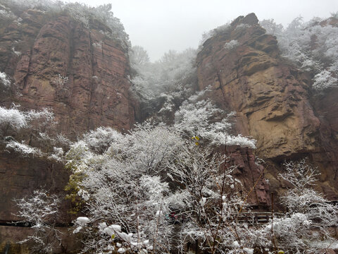 云台山雪景