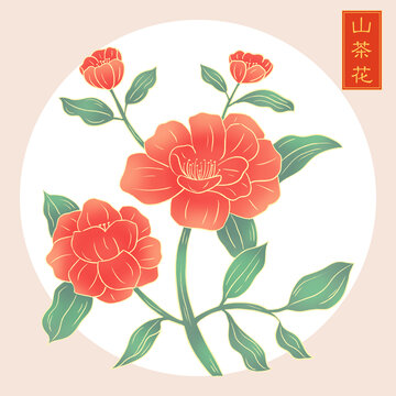 十二花令之十一月山茶花