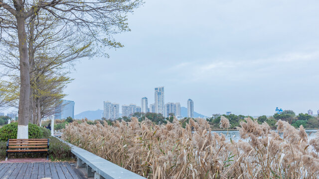 厦门集美区蓝天白云都市风景