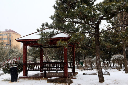 香河公园雪景