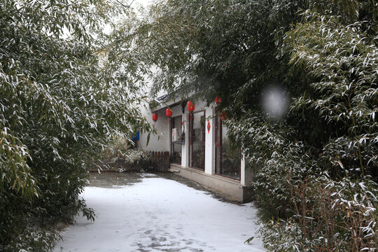香河公园雪景