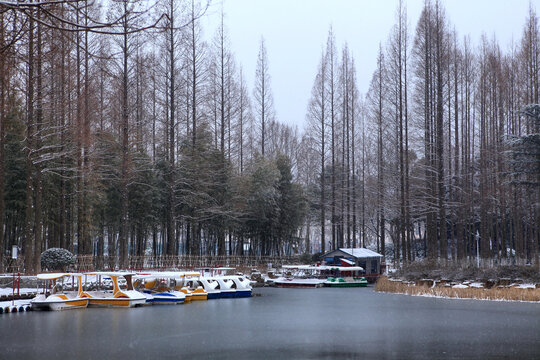 海曲公园雪景