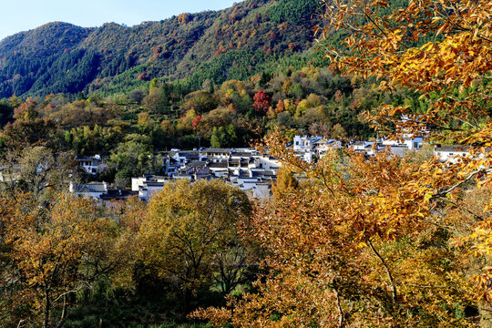 山村秋色