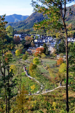 山村秋色