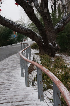 雪后的伸向远方的河堤围栏