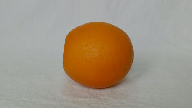 纯色背景下的橙子