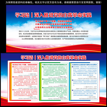 深入推進(jìn)黨的自我實(shí)踐