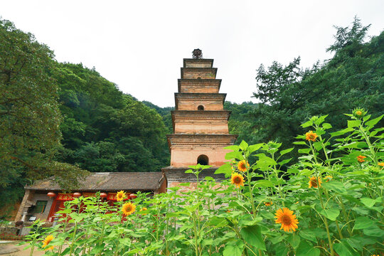 陕西长安南五台圣寿寺塔