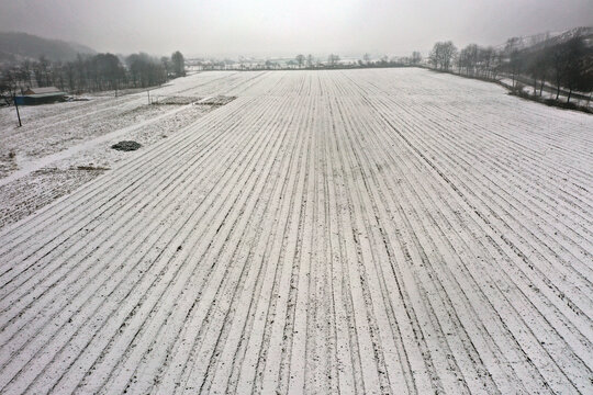 大雪覆盖后的田地