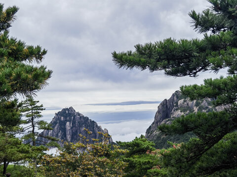 黄山云海