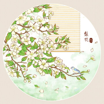 原創(chuàng)手繪水彩風(fēng)梨花山雀插畫(huà)