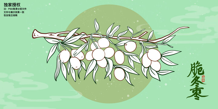 脆棗線描插畫