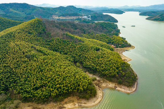 山林竹海