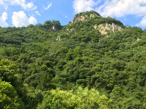 浙江溪口滕头旅游区妙高台