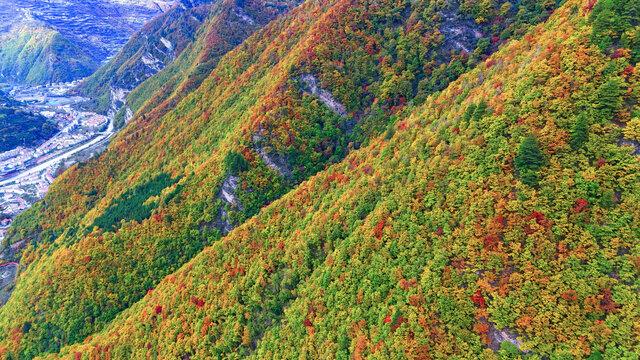 航拍四川阿坝奶子沟秋景彩林