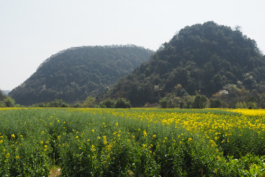 贵州山水