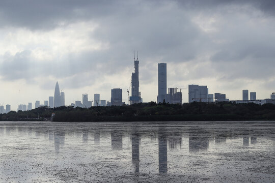 深圳湾退潮后景象