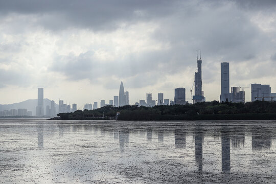 深圳湾退潮后景象