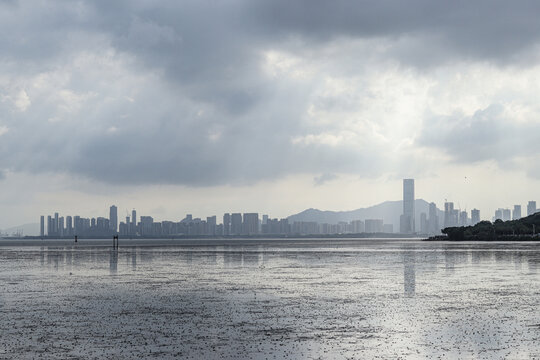 深圳湾退潮后景象