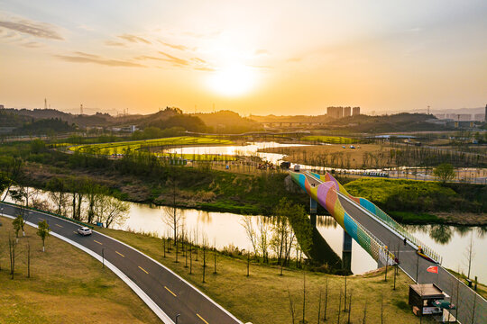 点军卷池河公园油菜花夕阳