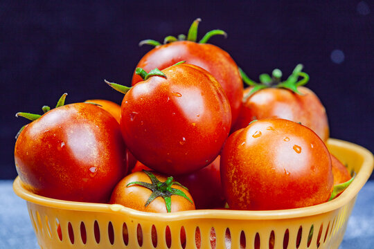 新疆沙瓤番茄
