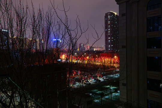 城市夜景红灯笼树风景6K素材