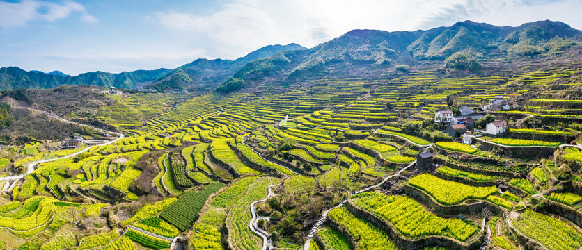 覆卮山油菜花梯田航拍全景