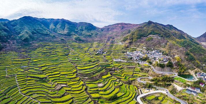 覆卮山油菜花梯田航拍全景