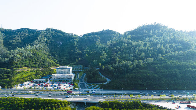 大雁山森林公园