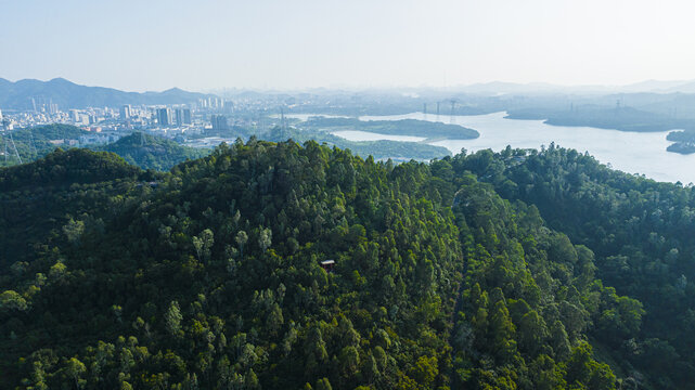 大雁山森林公园