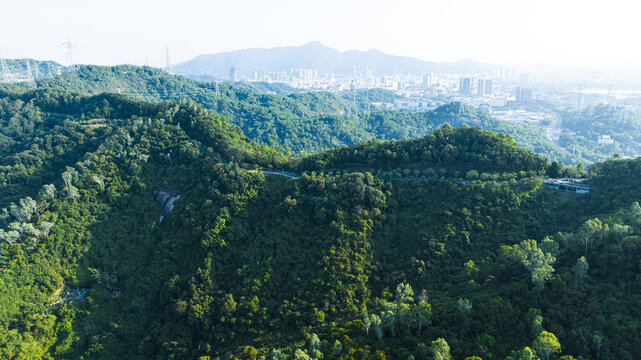 大雁山森林公园