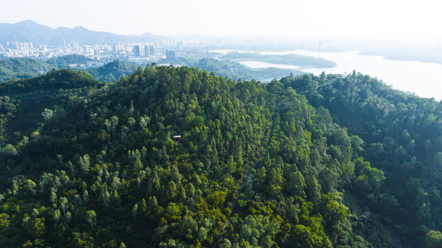 大雁山森林公园