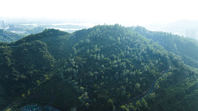 大雁山森林公园