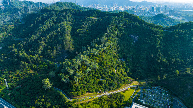 大雁山森林公园