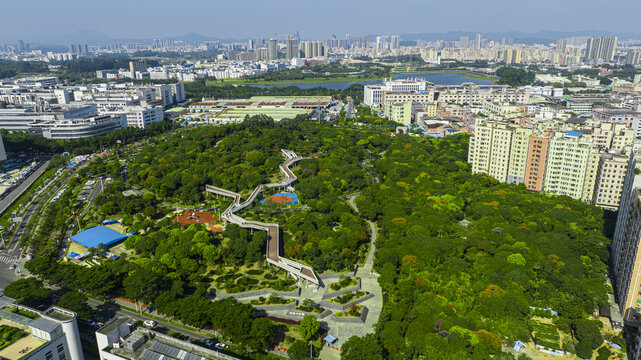 虎地山森林公园