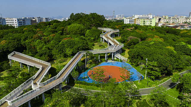 虎地山森林公园