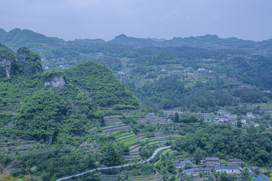 高山梯田