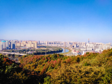 城市山顶风光