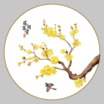 臘梅
