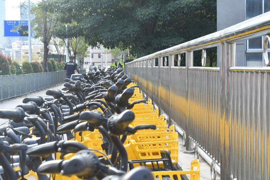 深圳城市区里的共享单车
