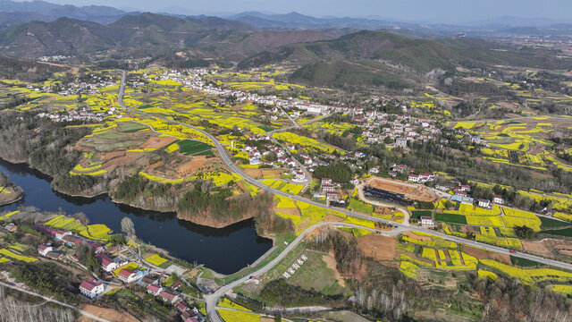 航拍汉中市洋县油菜花田